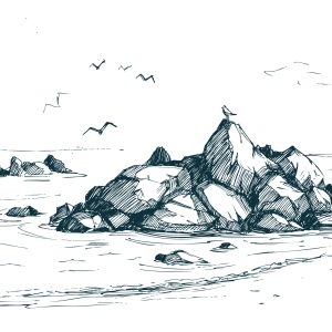 Peinture sur toile Mer De Rochers Et De Mouettes – Image 1