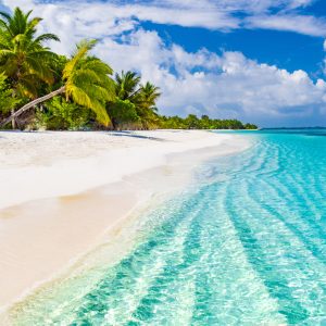 Peinture sur toile Mer Et Plage Tropicale – Image 1