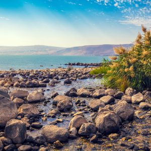 Peinture sur toile Paysage De Mer Et De Montagne – Image 1