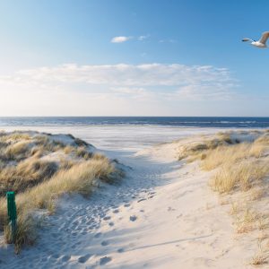 Peinture sur toile Plage Et Mer – Image 1