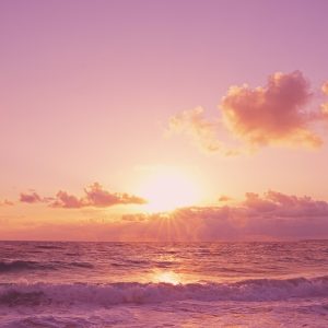 Peinture sur toile Paysage De Mer Rose – Image 1