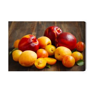 Peinture sur toile Nectarines Aux Abricots – Image 2