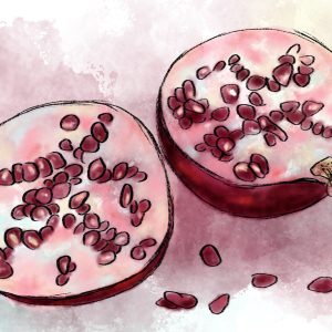 Peinture sur toile Grenades Aquarelles – Image 1