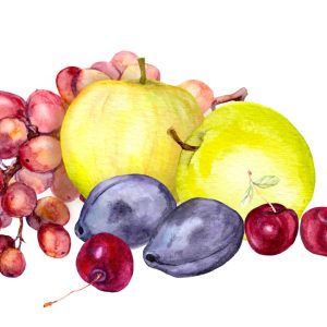 Peinture sur toile Fruits D'été Peints À L'aquarelle – Image 1