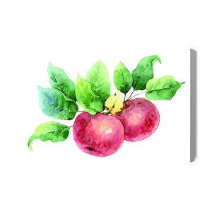 Peinture sur toile Pommes Peintes À L'aquarelle – Image 2