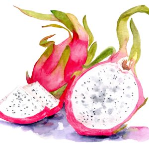 Peinture sur toile Fruit Du Dragon Aquarelle – Image 1