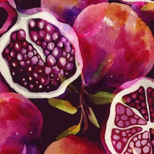 Peinture sur toile Grenade – Image 1