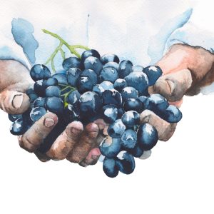 Peinture sur toile Raisins Dans Les Mains – Image 1