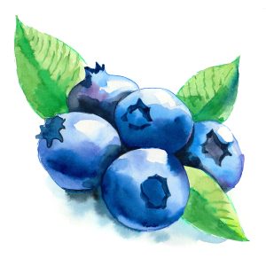 Peinture sur toile Bleuets Peints À L'aquarelle – Image 1