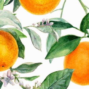 Peinture sur toile Oranges Sur Les Branches – Image 1