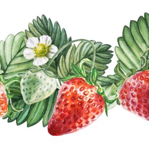 Peinture sur toile Fraises Aux Fleurs – Image 1