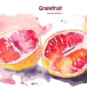 Peinture sur toile Pamplemousse Peint À L'aquarelle – Image 1