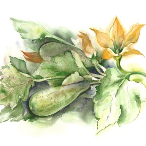 Peinture sur toile Courgettes Aux Fleurs Peintes À L'aquarelle – Image 1