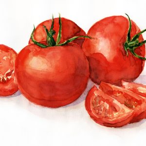 Peinture sur toile Tomates Peintes À L'aquarelle – Image 1