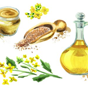 Peinture sur toile Épices Et Fleurs Peintes À L'aquarelle – Image 1