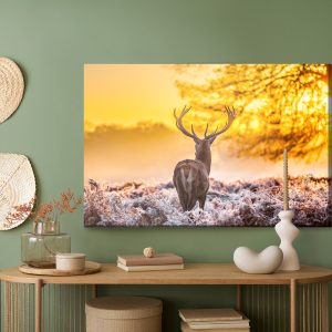 Peinture sur toile Cerf Au Lever Du Soleil – Image 5
