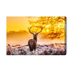 Peinture sur toile Cerf Au Lever Du Soleil – Image 2