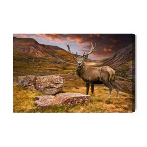 Peinture sur toile Cerf Dans Les Montagnes – Image 2
