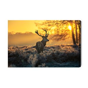 Peinture sur toile Cerf Le Matin – Image 2