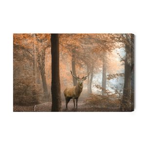 Peinture sur toile Cerf Dans La Forêt D'automne – Image 2