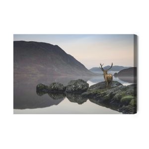 Peinture sur toile Cerf Au Bord Du Lac – Image 2