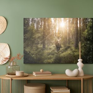 Peinture sur toile Cerf Et Rayons Du Soleil – Image 5