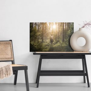Peinture sur toile Cerf Et Rayons Du Soleil – Image 6