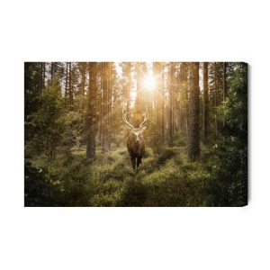 Peinture sur toile Cerf Et Rayons Du Soleil – Image 2