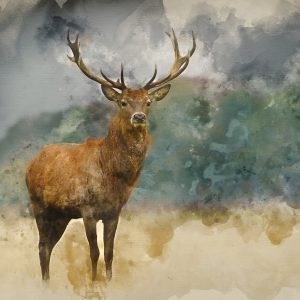 Peinture sur toile Cerf Sur Fond Aquarelle – Image 1