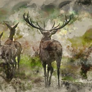 Peinture sur toile Cerf Aquarelle Dans La Forêt – Image 1