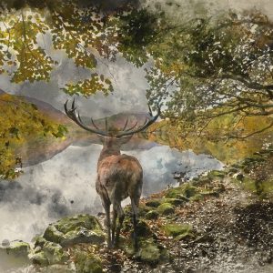 Peinture sur toile Un Cerf Sur La Rivière – Image 1