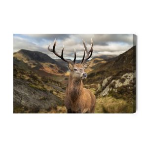 Peinture sur toile Cerf Sur Fond De Montagnes – Image 2