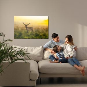 Peinture sur toile Un Cerf Et Un Matin Brumeux – Image 7