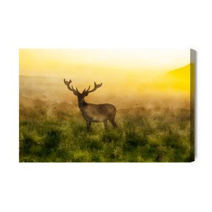 Peinture sur toile Un Cerf Et Un Matin Brumeux – Image 2