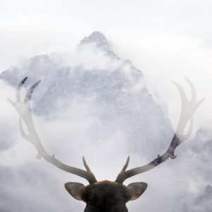 Peinture sur toile Un Cerf Regardant Les Montagnes – Image 1
