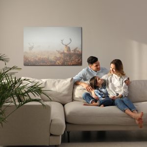 Peinture sur toile Cerf Dans Le Brouillard – Image 7