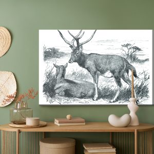Peinture sur toile Croquis Avec Des Cerfs – Image 5