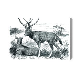 Peinture sur toile Croquis Avec Des Cerfs – Image 2