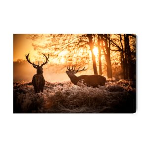 Peinture sur toile Cerf Le Matin – Image 2