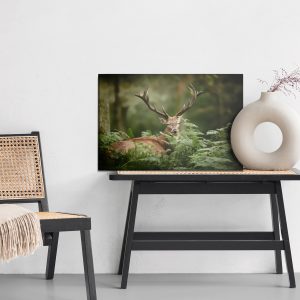 Peinture sur toile Un Cerf Dans Le Vert – Image 6