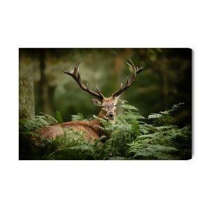 Peinture sur toile Un Cerf Dans Le Vert – Image 2