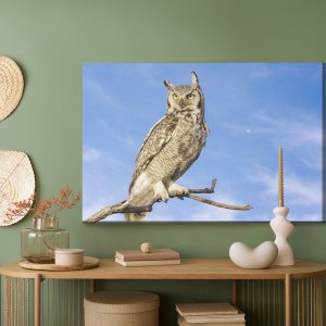 Peinture sur toile Oiseau De Proie Contre Le Ciel – Image 5