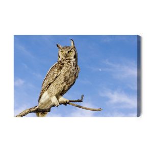 Peinture sur toile Oiseau De Proie Contre Le Ciel – Image 2