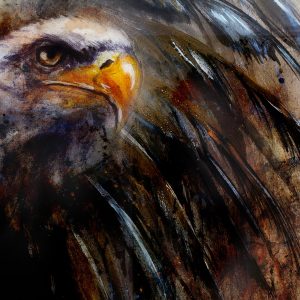 Peinture sur toile Aigle Comme Peint – Image 1