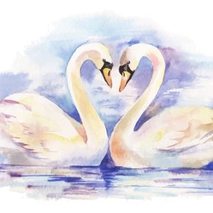 Peinture sur toile Aimer Les Cygnes – Image 1