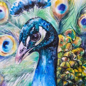Peinture sur toile Paon Aux Plumes Colorées – Image 1