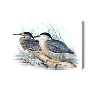 Peinture sur toile Oiseaux Au Dessus De L'eau – Image 2