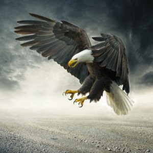 Peinture sur toile L'aigle Pendant La Tempête – Image 1