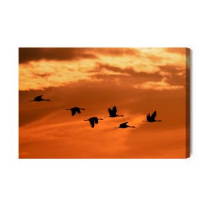 Peinture sur toile Grues À L'aube – Image 2