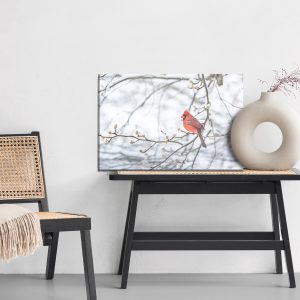 Peinture sur toile Oiseau Rouge – Image 6